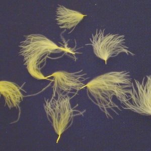 CDC Puffs